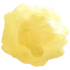 美赛